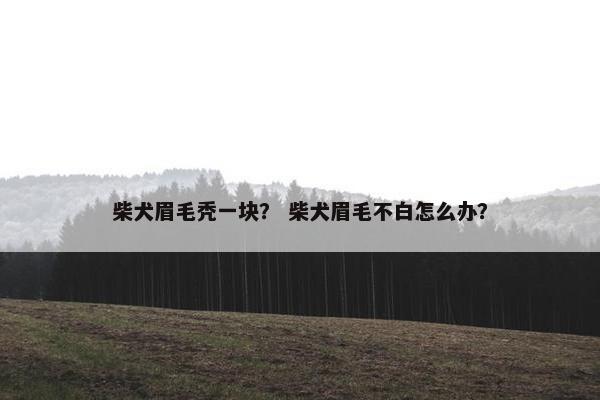 柴犬眉毛秃一块？ 柴犬眉毛不白怎么办？
