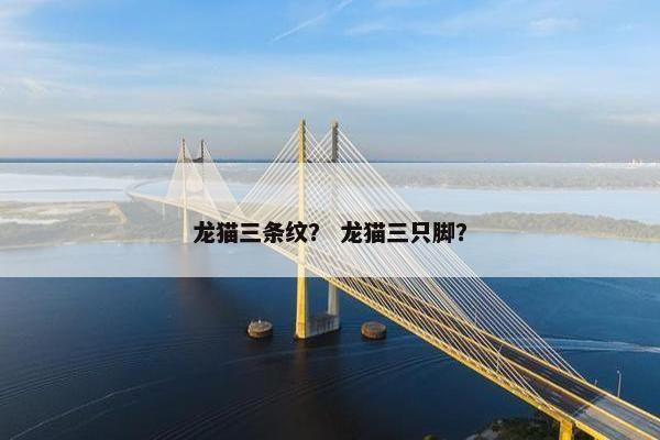 龙猫 第3页