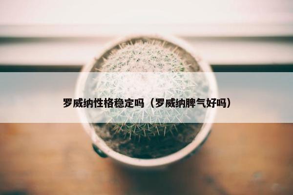 罗威纳 第3页