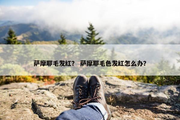 萨摩耶毛发红？ 萨摩耶毛色发红怎么办？