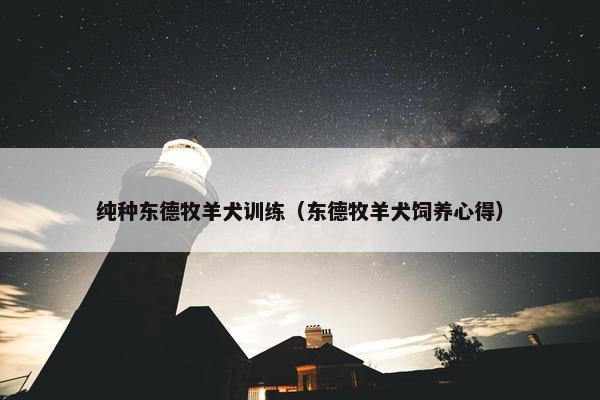 纯种东德牧羊犬训练（东德牧羊犬饲养心得）