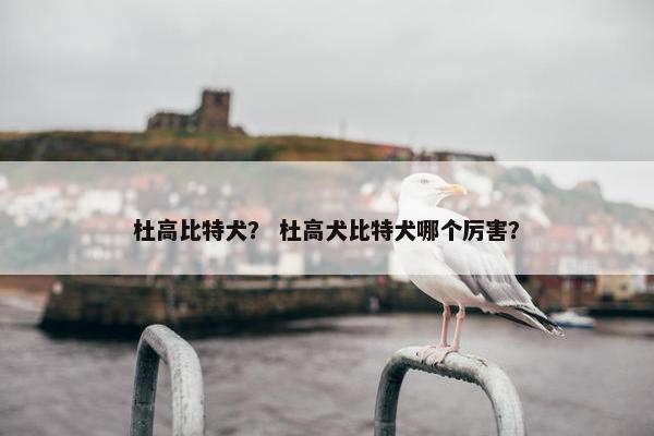 杜高比特犬？ 杜高犬比特犬哪个厉害？