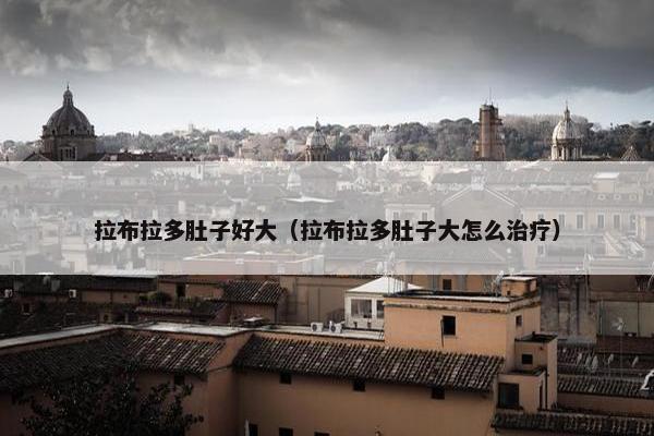 拉布拉多肚子好大（拉布拉多肚子大怎么治疗）