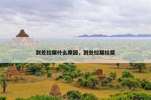 到处拉屎什么原因，到处拉屎拉尿