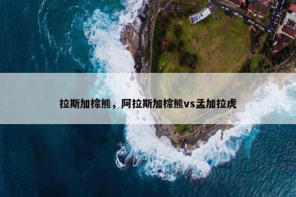拉斯加棕熊，阿拉斯加棕熊vs孟加拉虎