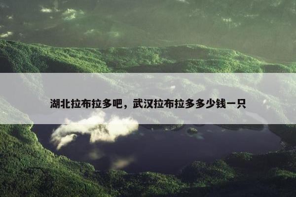 湖北拉布拉多吧，武汉拉布拉多多少钱一只