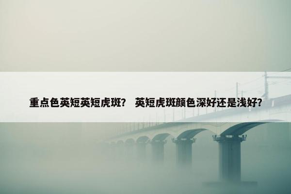 重点色英短英短虎斑？ 英短虎斑颜色深好还是浅好？