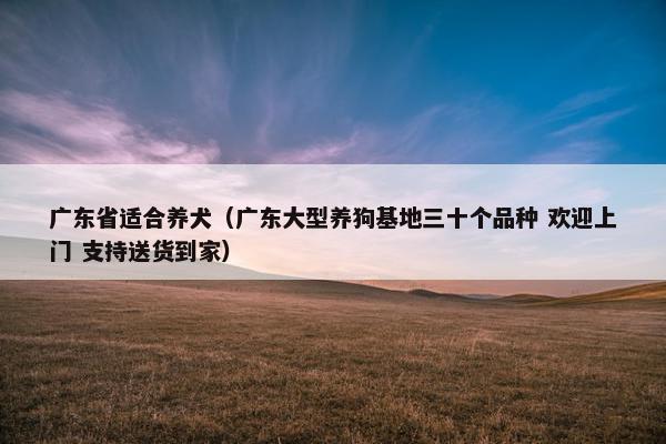 广东省适合养犬（广东大型养狗基地三十个品种 欢迎上门 支持送货到家）