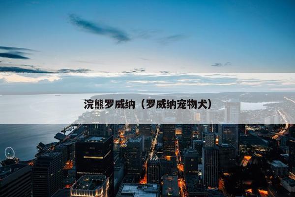 浣熊罗威纳（罗威纳宠物犬）