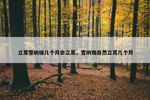 手术