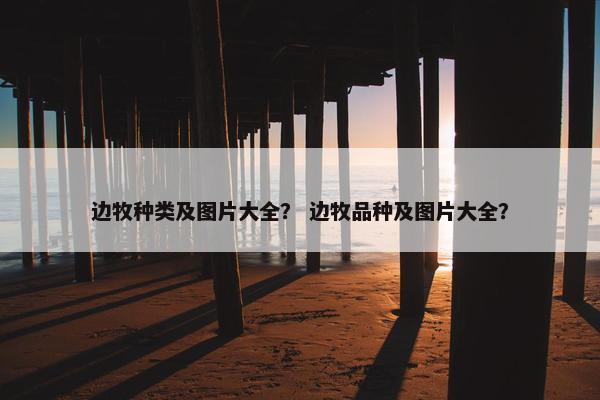 边牧种类及图片大全？ 边牧品种及图片大全？