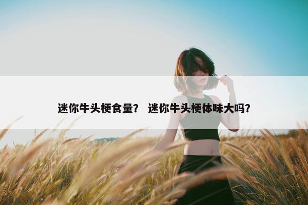 迷你牛头梗食量？ 迷你牛头梗体味大吗？