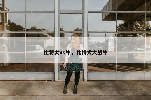 比特犬vs牛，比特犬大战牛
