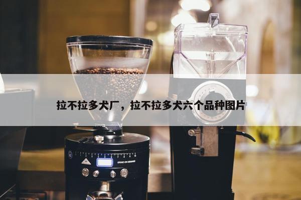 拉不拉多犬厂，拉不拉多犬六个品种图片