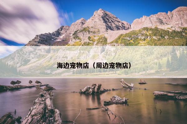 海鸥