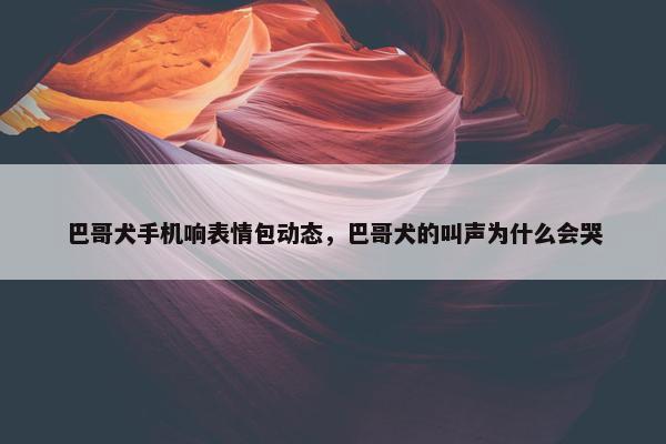 巴哥犬手机响表情包动态，巴哥犬的叫声为什么会哭
