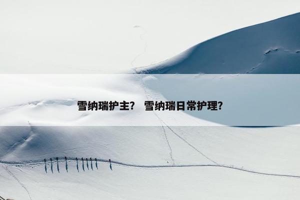 陌生人