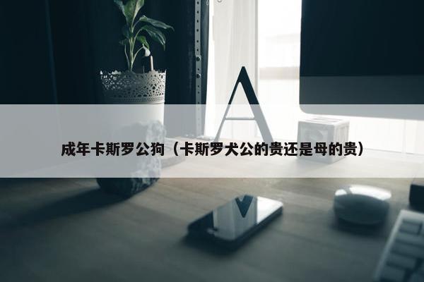 成年卡斯罗公狗（卡斯罗犬公的贵还是母的贵）
