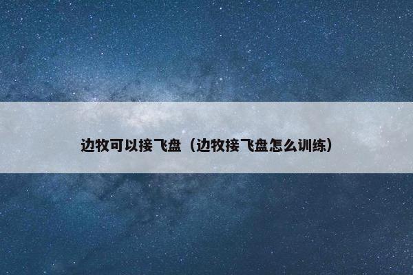 边牧可以接飞盘（边牧接飞盘怎么训练）