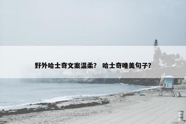 野外哈士奇文案温柔？ 哈士奇唯美句子？