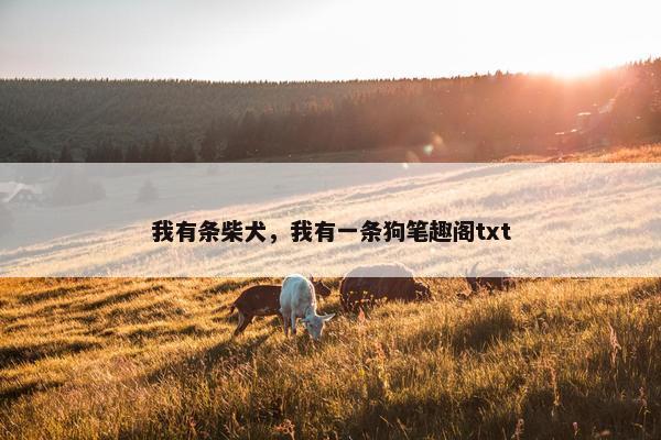 我有条柴犬，我有一条狗笔趣阁txt