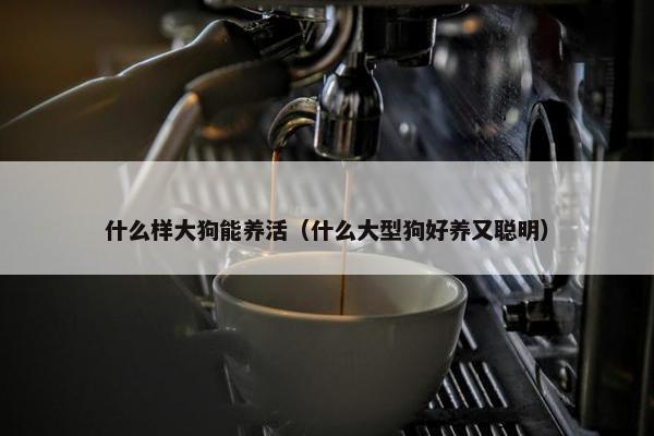 什么样大狗能养活（什么大型狗好养又聪明）
