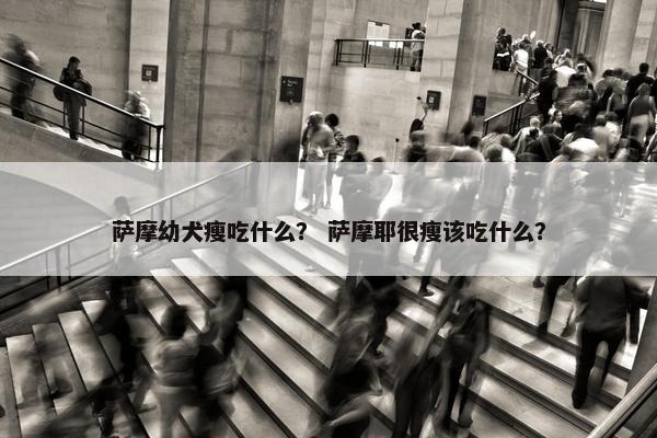 萨摩幼犬瘦吃什么？ 萨摩耶很瘦该吃什么？