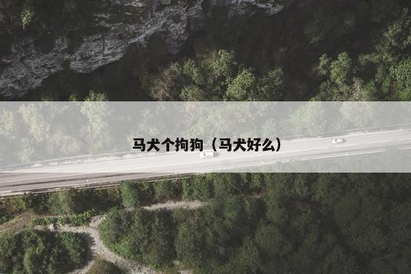 马犬个拘狗（马犬好么）