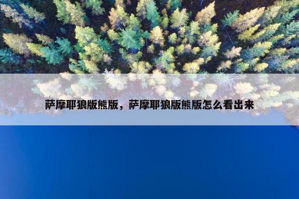 萨摩耶狼版熊版，萨摩耶狼版熊版怎么看出来