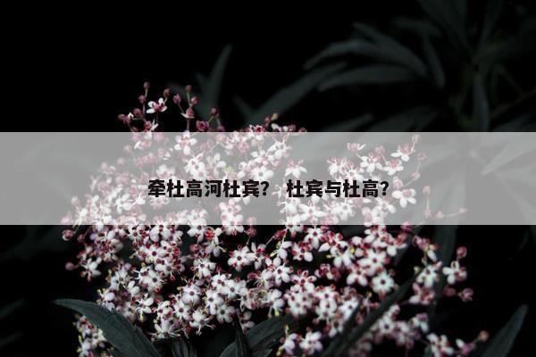 牵杜高河杜宾？ 杜宾与杜高？