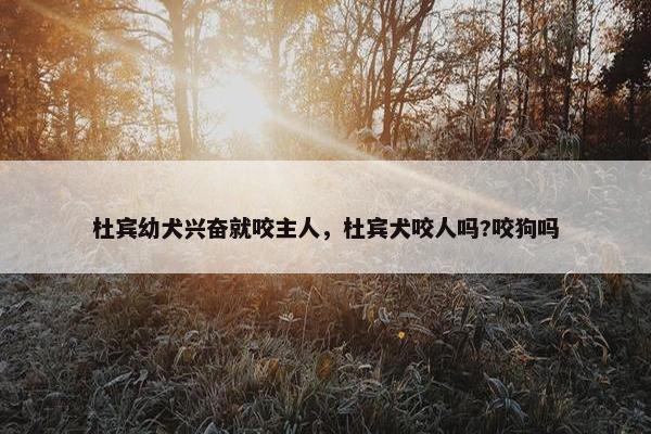 杜宾幼犬兴奋就咬主人，杜宾犬咬人吗?咬狗吗
