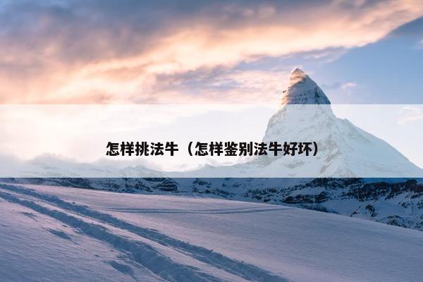 怎样挑法牛（怎样鉴别法牛好坏）