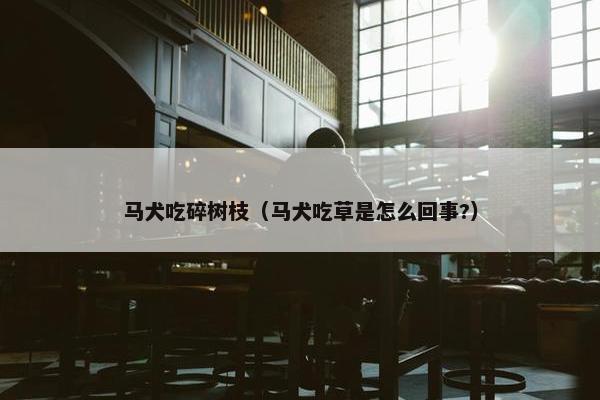 马犬吃碎树枝（马犬吃草是怎么回事?）