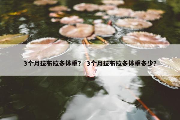 3个月拉布拉多体重？ 3个月拉布拉多体重多少？
