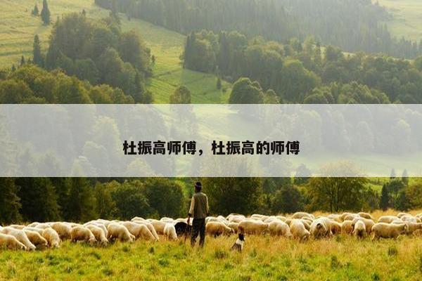 杜振高师傅，杜振高的师傅