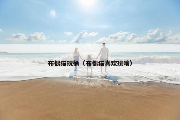 布偶猫玩桶（布偶猫喜欢玩啥）