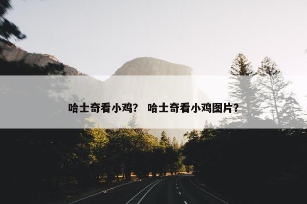 答案