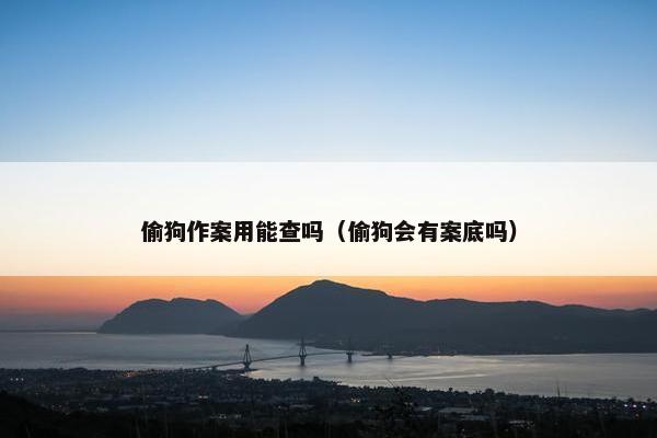 盗窃