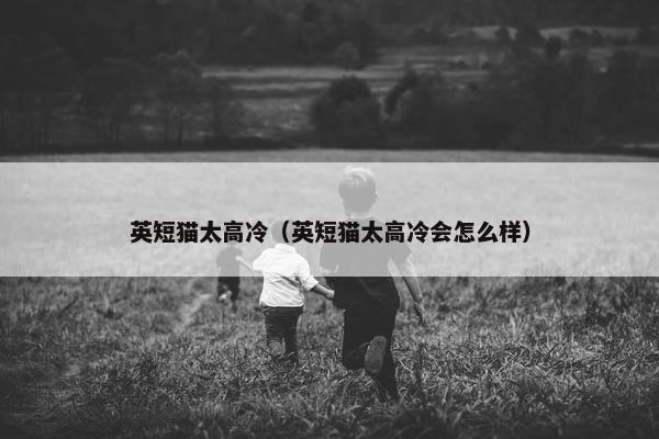英短猫太高冷（英短猫太高冷会怎么样）