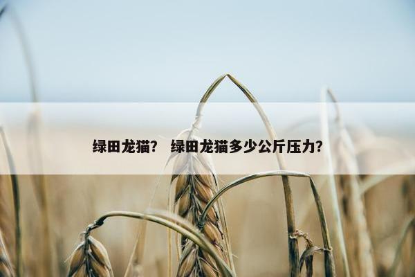 绿田龙猫？ 绿田龙猫多少公斤压力？