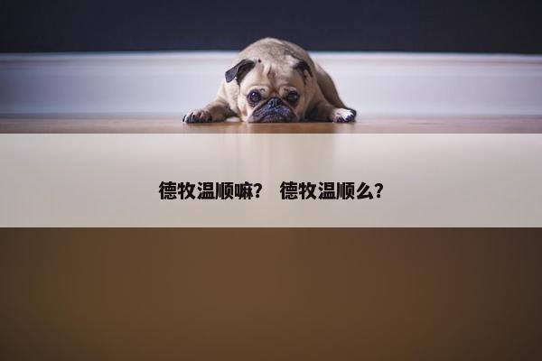 德牧温顺嘛？ 德牧温顺么？