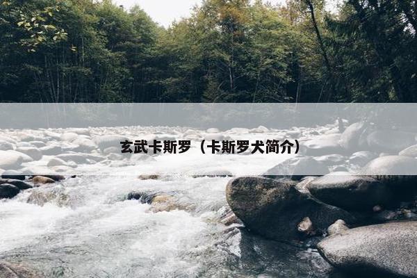 玄武卡斯罗（卡斯罗犬简介）