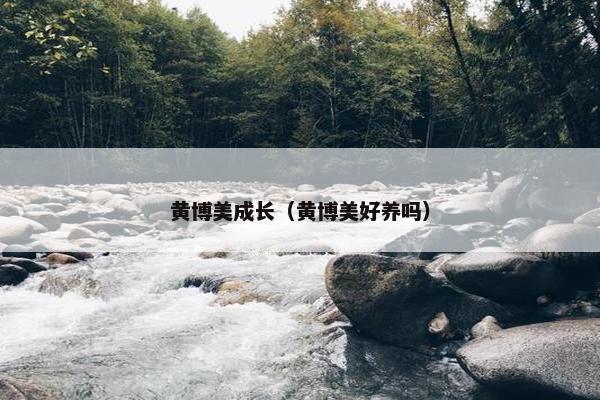 黄博美成长（黄博美好养吗）