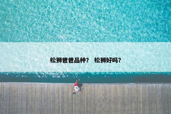 松狮爸爸品种？ 松狮好吗？