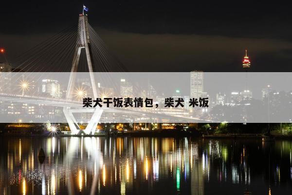 柴犬干饭表情包，柴犬 米饭