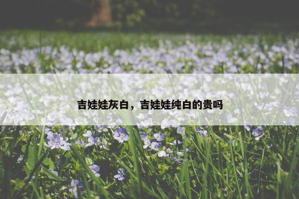 吉娃娃灰白，吉娃娃纯白的贵吗