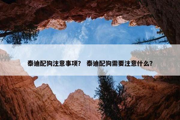 泰迪配狗注意事项？ 泰迪配狗需要注意什么？