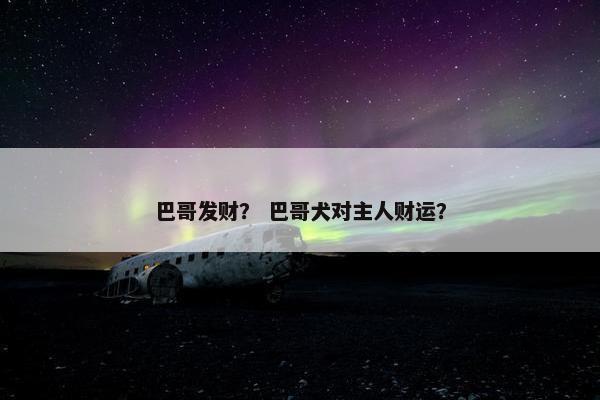 巴哥发财？ 巴哥犬对主人财运？