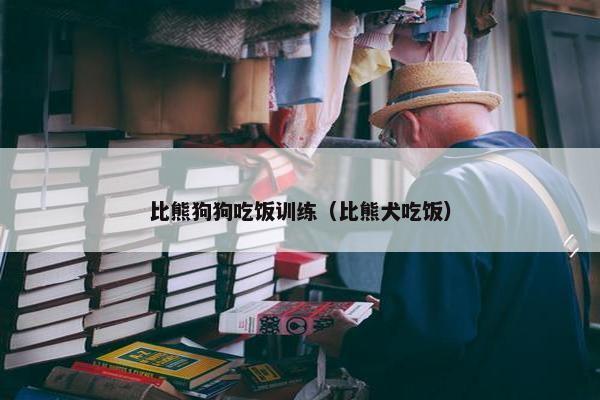 比熊狗狗吃饭训练（比熊犬吃饭）