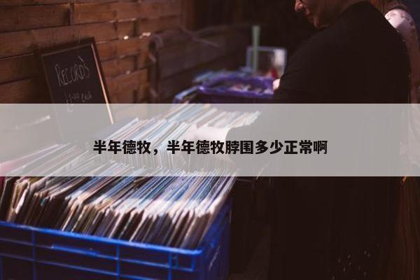 半年德牧，半年德牧脖围多少正常啊